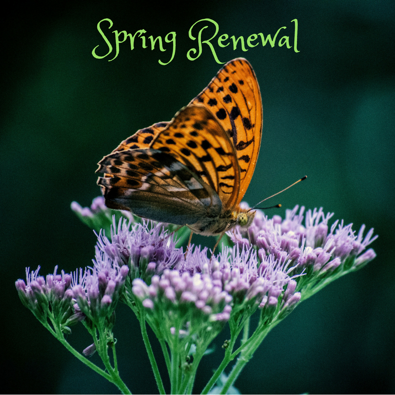 Spring Renewal for Body, Mind and Spirit