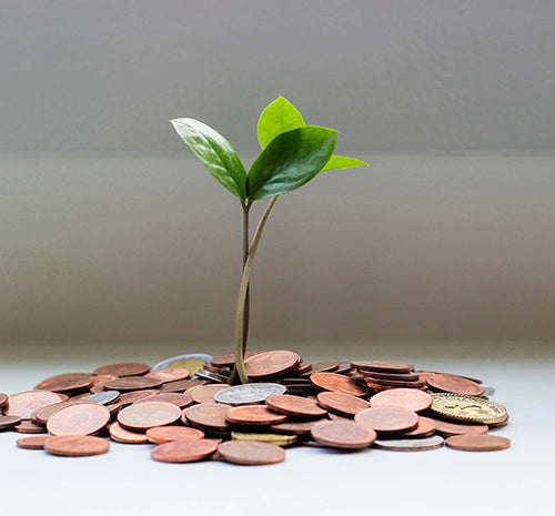 10 Simple Tips For Saving Money And Living Sustainably